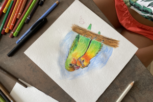 Скетчинг индивидуальный урок