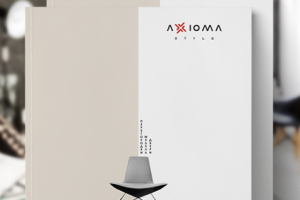 Дизайн презентации "Аксиома"