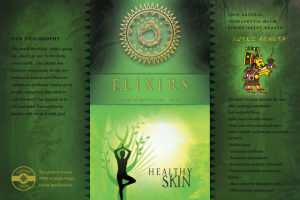 2. Дизайн продукта для целебной мази (лого+концпет+фирм.стиль)