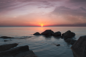 Работа 4081176