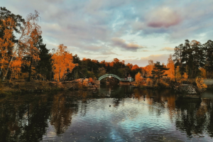 Работа 4162922