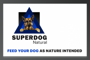 Логотип для компании Superdog natural