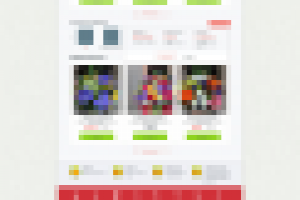 Верстка макета для сайта цветочного магазина