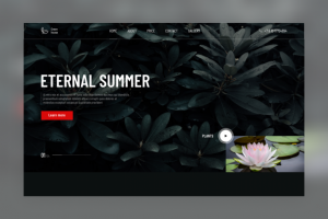 Оранжерея GreenHouse