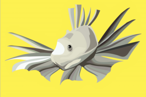 sea fish