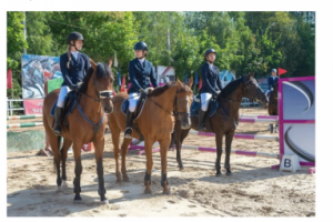 Работа 4157538