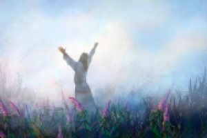 Работа 2377468