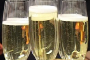 Презентация банка "ICICI" в Москве.