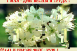 1 мая