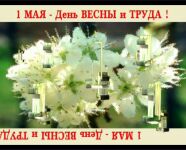 img2871361.png