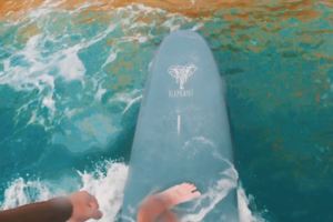 Surfing in Sri-Lanka