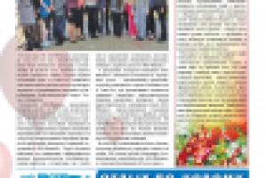 Работа 2512538