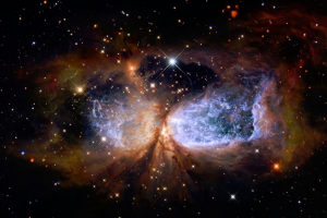 Поэтов крик