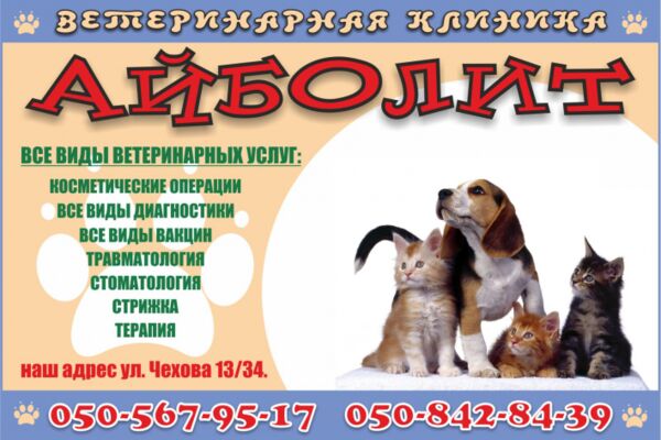 img4154072.png