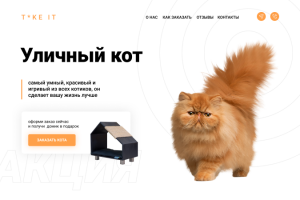 Сайт для приюта