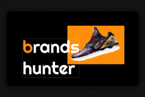 Brands Hunter