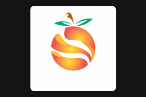 Orange Logo