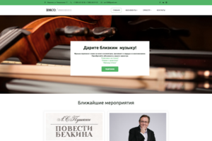 Воронежский молодежный симфонический оркестр