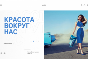 Интернет-витрина одежды