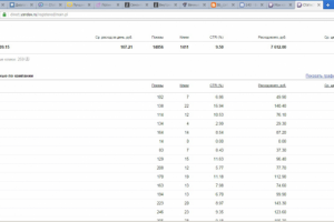 Директ для магазина автомобильных ковриков