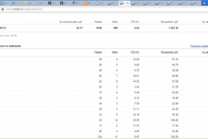 Директ для интернет-магазина защит картера