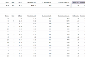 Директ для сети детских секций