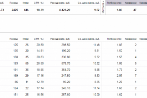 Директ для шоурума одежды в Москве