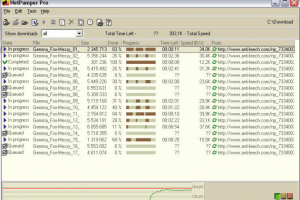 Менеджер загрузки файлов «NetPumper»