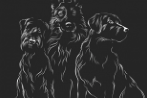 Отрисовка собак