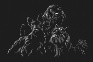 Отрисовка собак