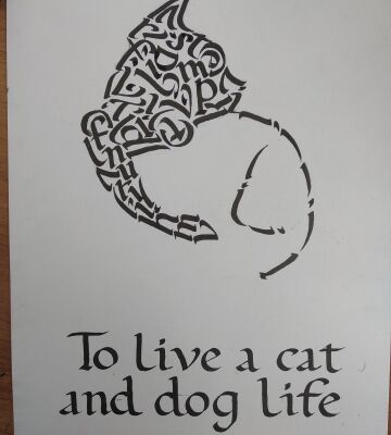 img4083050.png