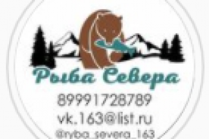 Кейс продвижение рыбного магазина в Инстаграм