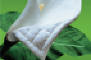 Работа 1607142