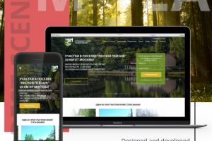 Название работы