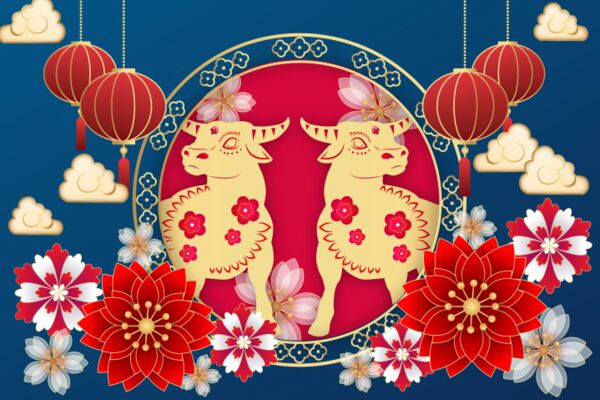img4120136.png