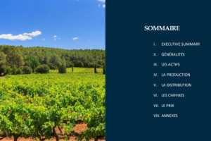 Перевод предложения о продаже виноградника во Фран