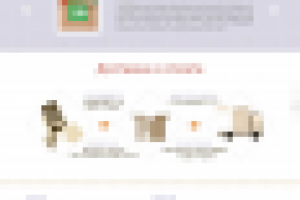 BAVI - магазин на Wordpress