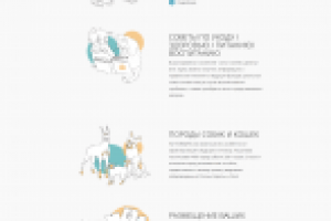 Поиск питомца