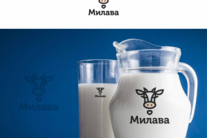 Молоко и молочные продукты, конкурсная работа