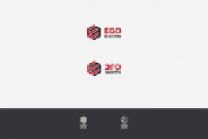 EGOelectro, победа в конкурсе