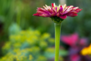 Работа 2199089