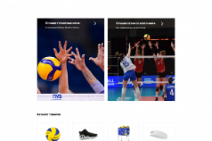 Дизайн интернет магазина волейбольных товаров