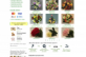 Цветочный магазин Дельрио