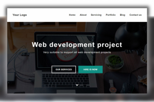 Web development project