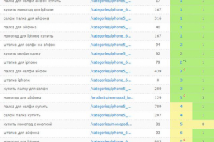 Рост позиций высокочастотных запросов в тематике "моноподы"