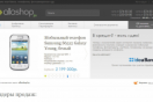 Продвижение и разработка программной части ИМ
