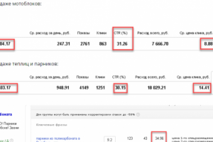Показатели кампания для сайта по продаже  мотоблоков и теплиц