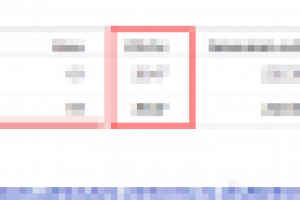 Настройка директа и ведение рекламной кампании.Результат: CTR 20