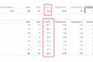 Настройка директа и ведение рекламной кампании. Результат:CTR 17
