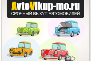 Avtovikup-mo.ru